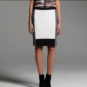 Narciso Rodriguez Monochrome Pencil Skirt